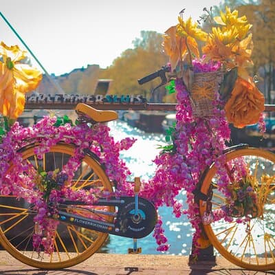 3-Hour Private Amsterdam Photography Tour of famous Landmarks 3