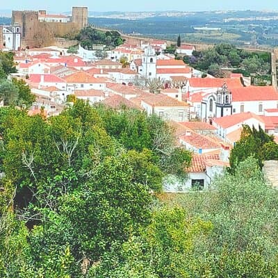 Nazaré Óbidos - Waves and History Private Tour from Lisbon 3