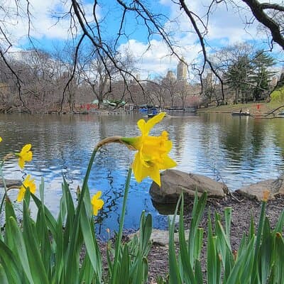 Central Park Secrets And Highlights 3