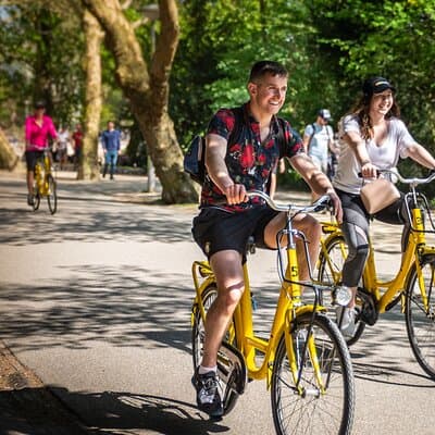 The Original Bike Tour of Amsterdam Highlights and Hidden Streets