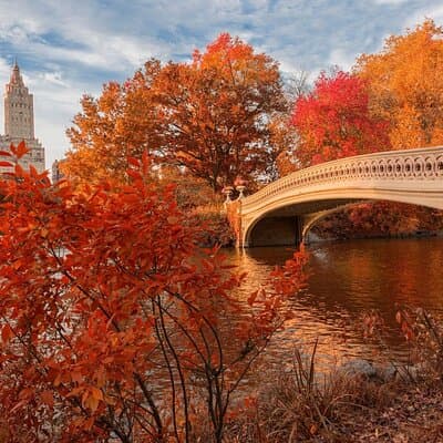 Self Guided Central Park Scavenger Hunt 5