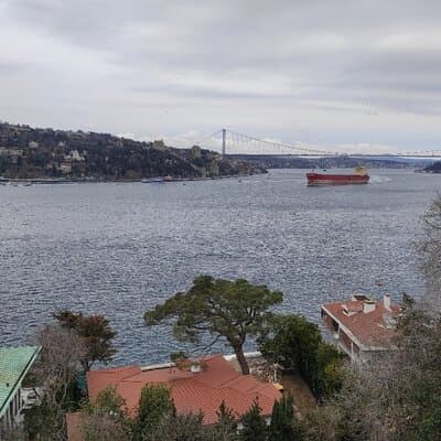 Full Day Istanbul Bosphorus Cruise and Dolmabahce Palace Tour with Private Guide 3
