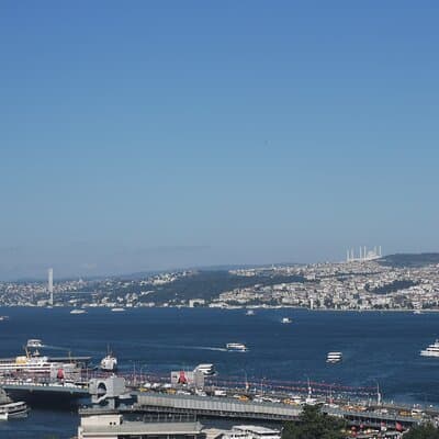 Full Day Istanbul Bosphorus Cruise and Dolmabahce Palace Tour with Private Guide 5
