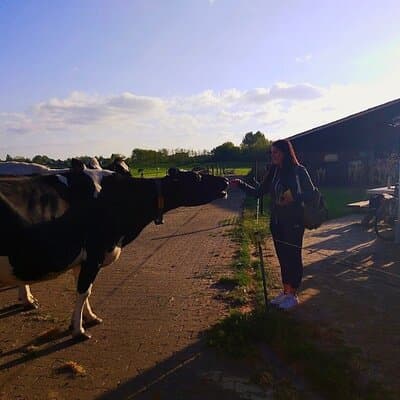 Best of Dutch Countryside: Giethoorn, Windmills, Secret Villages 5
