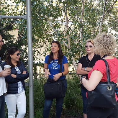 Explore the High Line: Small Group Walking Tour 4