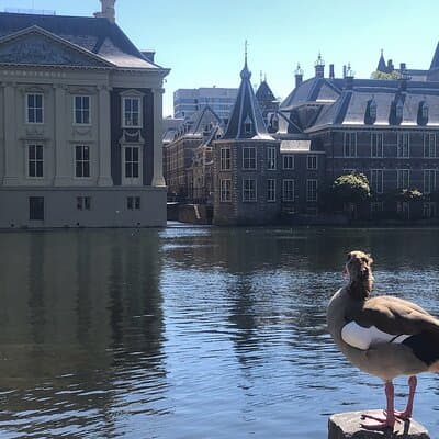 Visit the Girl with the Pearl Earring, The Hague & Delft City 5