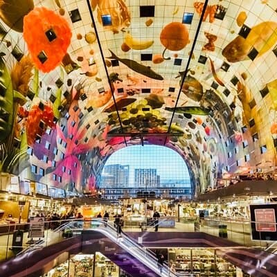 Rotterdam, Delft and The Hague Small Group Tour from Amsterdam 2