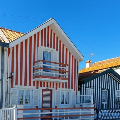 Private Tour from Lisboa to Aveiro and Porto 2