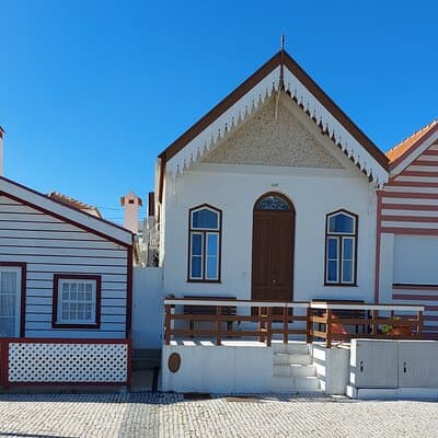 Private Tour from Lisboa to Aveiro and Porto 4