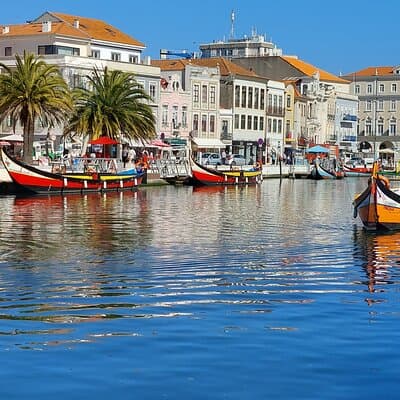 Private Tour from Lisboa to Aveiro and Porto 5