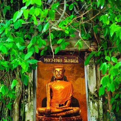 Amphawa Boat Ride & Railway Market: Multi-Lang Private Tour 4