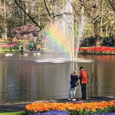 Keukenhof, Tulip Farm, Flower Fields & Zaanse Schans Windmills 3