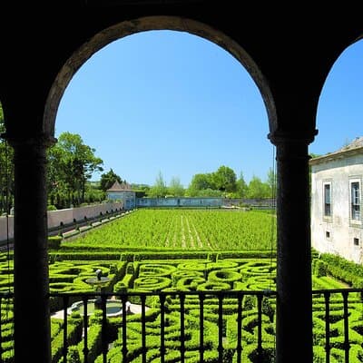 Luxury Private Arrábida Tour and Bacalhoa Palace with exclusive Wine taste 2