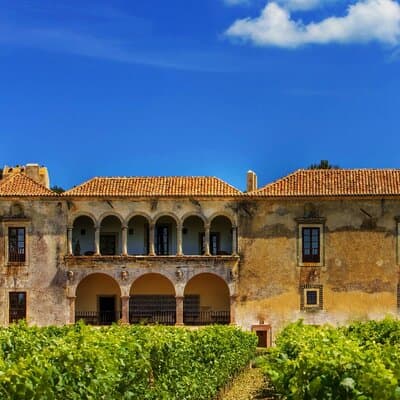 Luxury Private Arrábida Tour and Bacalhoa Palace with exclusive Wine taste 5