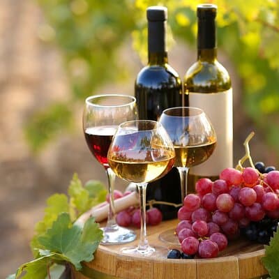 Luxury Private Arrábida Tour and Bacalhoa Palace with exclusive Wine taste