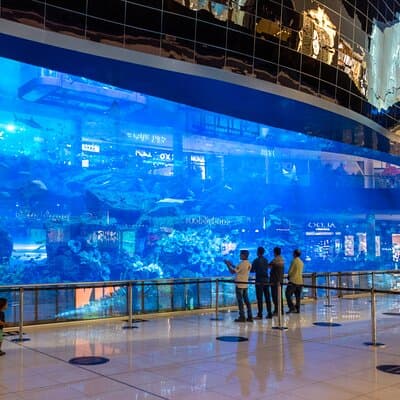 Modern Dubai Skyline Tour incl. 60-min Marina Boat Cruise 5