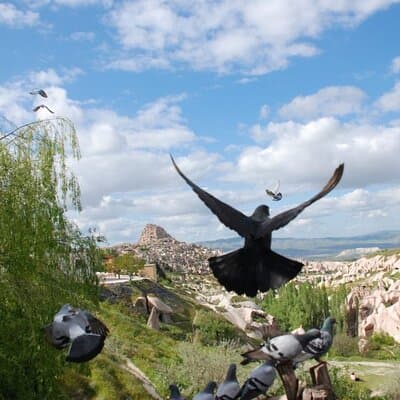 From Istanbul: Express 1-Day Trip to Cappadocia w/Flights 5