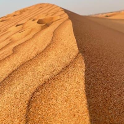 Evening Desert Safari Tours 3