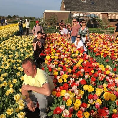 Half Day Keukenhof Tulip Paradise Trip from Amsterdam 4