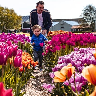 Tulip Experience and Keukenhof Flower Gardens Tour from Amsterdam
