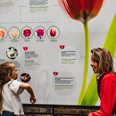 Private Keukenhof Gardens and Tulip Fields Tour from Amsterdam 5