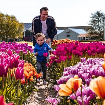Private Keukenhof Gardens and Tulip Fields Tour from Amsterdam 4