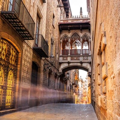 Skip-the-line Barcelona Cathedral with Private Guide 2