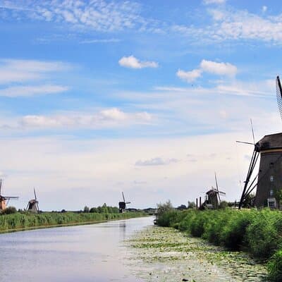 Private Tour to Kinderdijk and Delft / Leiden / Hague / Gouda 2