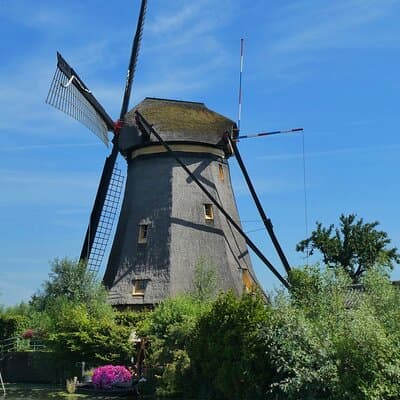Private Tour to Kinderdijk and Delft / Leiden / Hague / Gouda