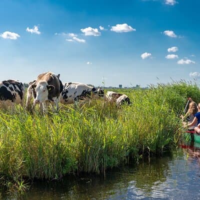 Guided Canoe Adventure with Picnic Lunch in Waterland from Amsterdam