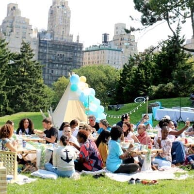Central Park Luxury Picnic for 2 4