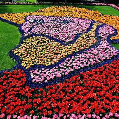 Private Flower Tour to the Keukenhof 4