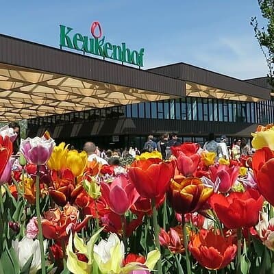 Private Flower Tour to the Keukenhof 3