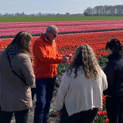 Discover Holland’s Beautiful Tulip Fields with an Expert Guide 4