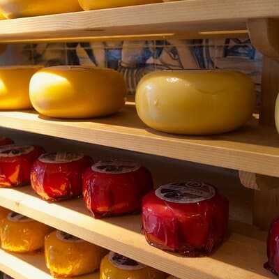 E-bike Tour with Picnic in the Amsterdam Wetlands small group 2