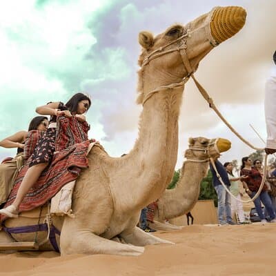 Evening Desert Safari Dubai with BBQ Dinner & Shows 2