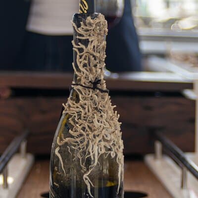 Sailing Tour and Tasting of Submarine wines on board 2