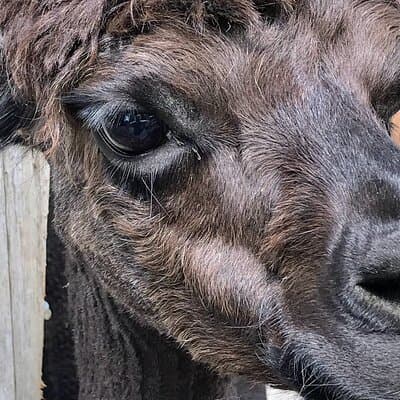 Private bike tour: Hidden gems around Amsterdam and surroundings 3