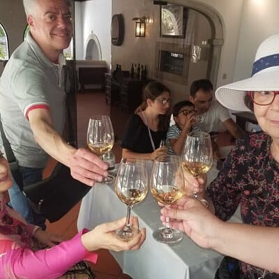 Azeitão Wines Tour and Stunning View Lisbon 3