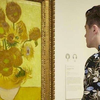 Van Gogh Museum Guided Tour with Entry Ticket