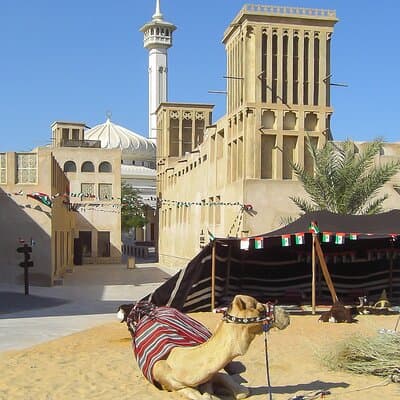 Old & Modern Dubai Full Day Private Tour with Blue Mosque Visit 5