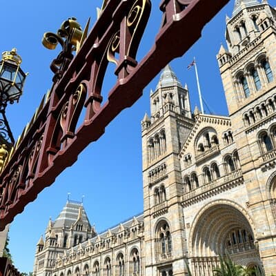 Kid-Friendly Natural History Museum & Dinosaurs Private Guided Tour in London 3