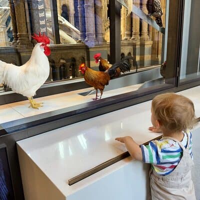 Kid-Friendly Natural History Museum & Dinosaurs Private Guided Tour in London 4