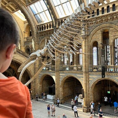 Kid-Friendly Natural History Museum & Dinosaurs Private Guided Tour in London 2
