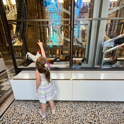 London Natural History Museum with Dinosaurs Gallery Private Tour for Kids 3