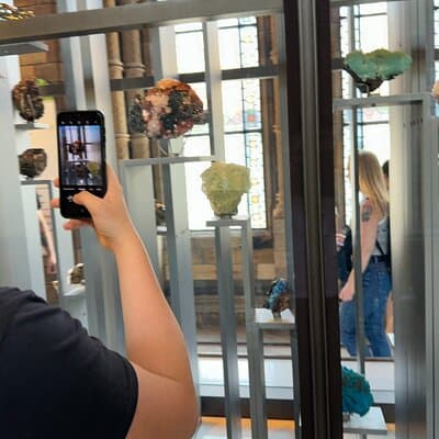 London Natural History Museum with Dinosaurs Gallery Private Tour for Kids 5