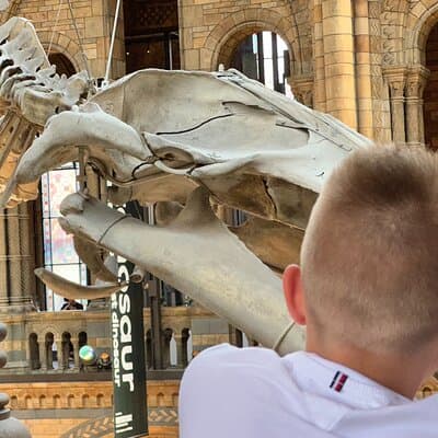 London Natural History Museum with Dinosaurs Gallery Private Tour for Kids 4