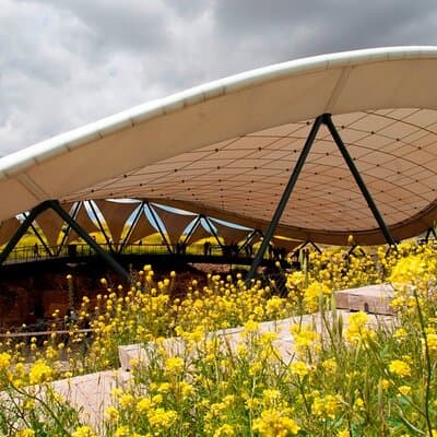 Private Daily Tour in Gobeklitepe and Karahantepe from Istanbul 5