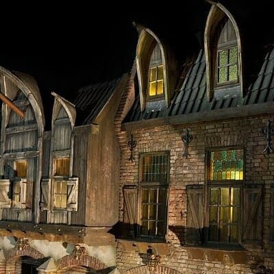Private 8 hour day trip to the Efteling incl. entrance tickets 5