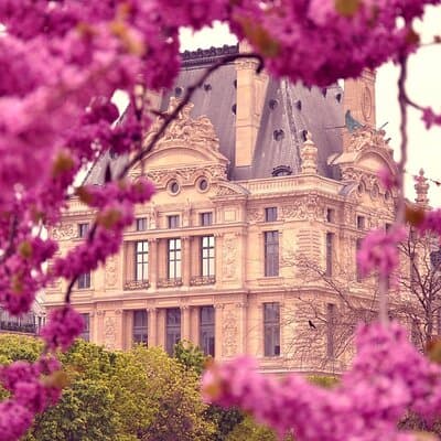 Exclusive Walking Tour of Central Paris With Local Guide